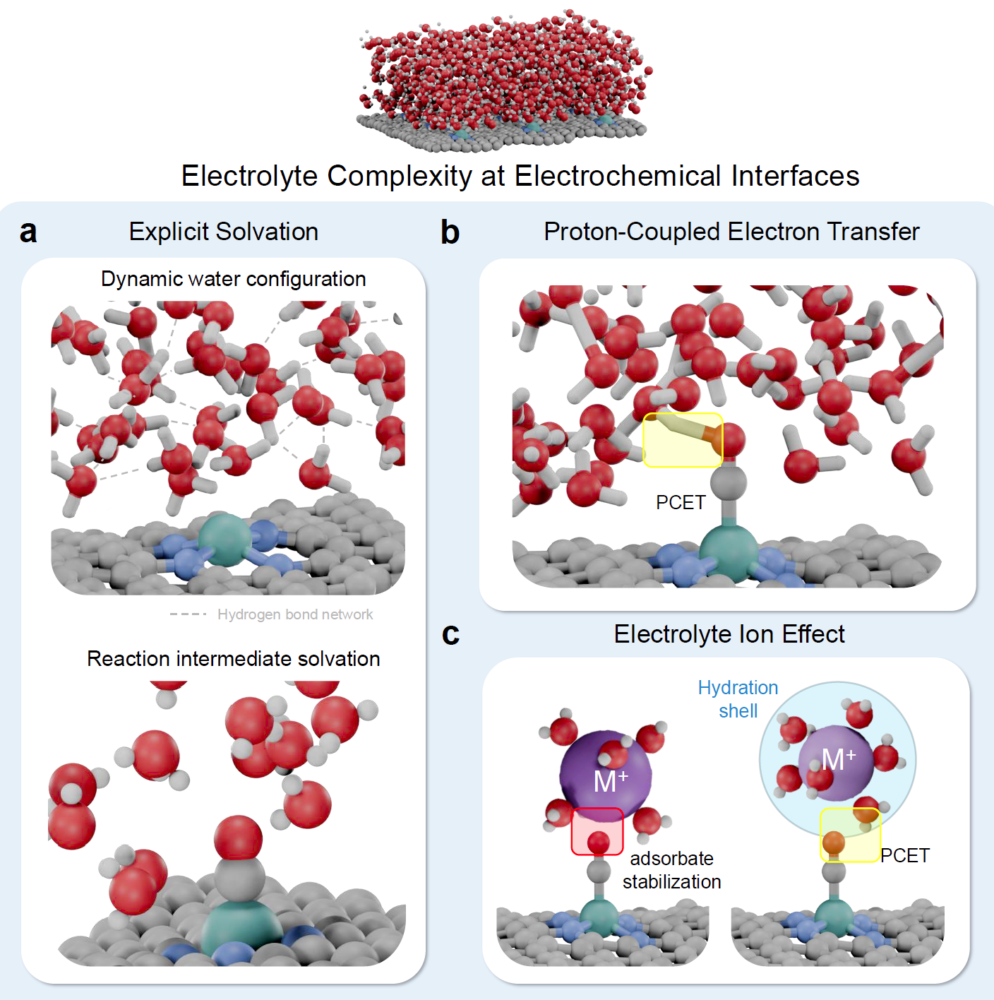 전기화학 계면에서의 전해질 복잡성