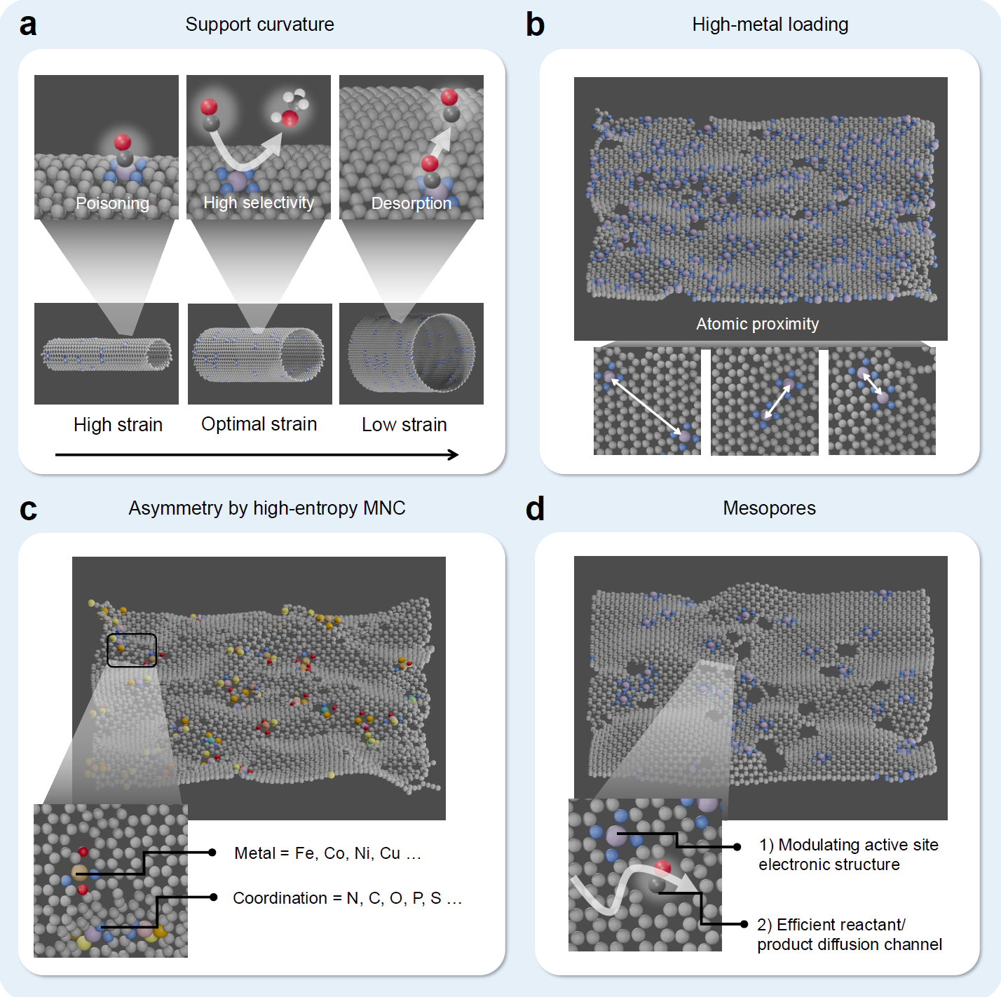 지지체 곡률과 MNC
