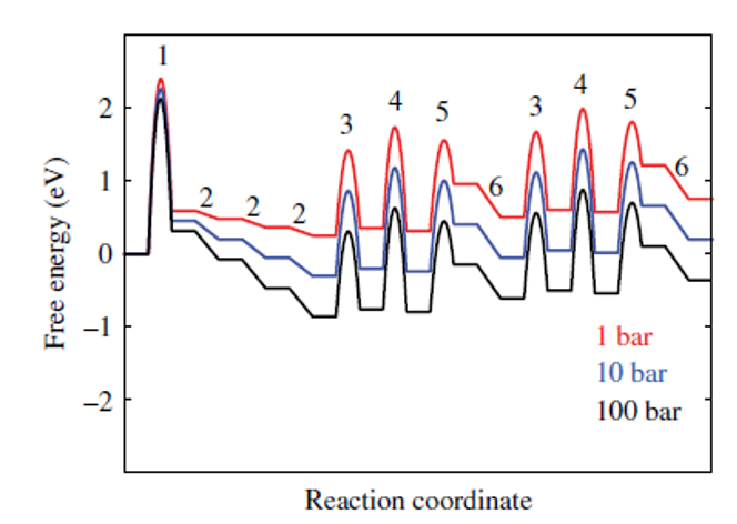 Free energy diagram at 300–700 K