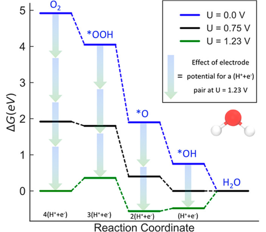 ORR free energy diagram on Pt(111)